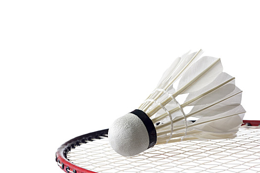 与往年不同 与往年不同