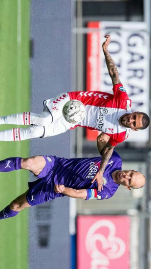 鲜明对比的 鲜明对比的